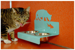 Почему кошкам нельзя давать пищу с нашего стола